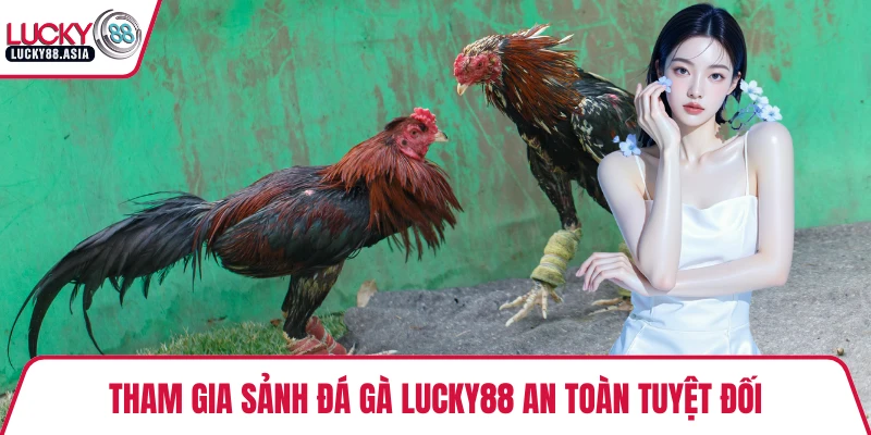 Tham gia sảnh đá gà LUCKY88 an toàn tuyệt đối